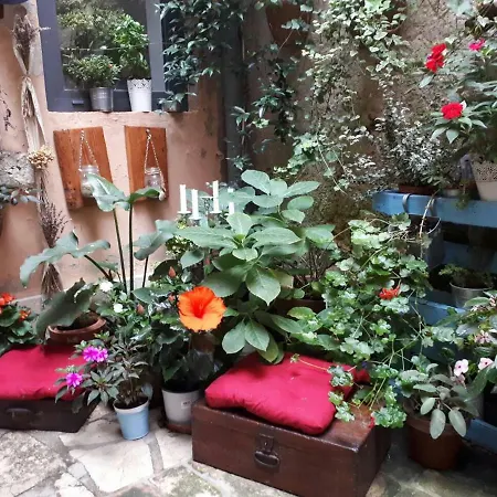 Apartment Casa 39