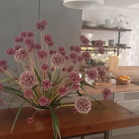 Casa 39 Appartamento *