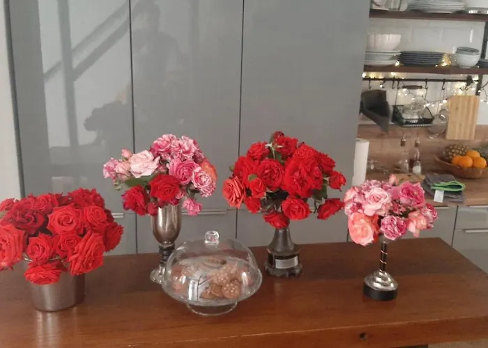 Casa 39 Ρόβινι