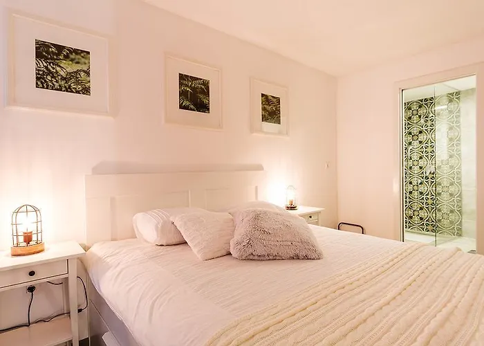 Casa 39 Ρόβινι