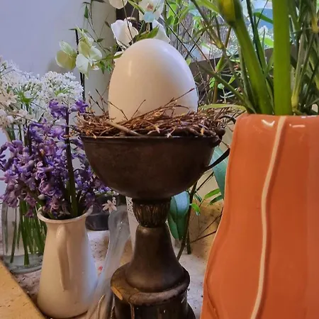 Casa 39 روفينج