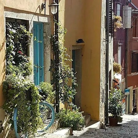 Casa 39 روفينج